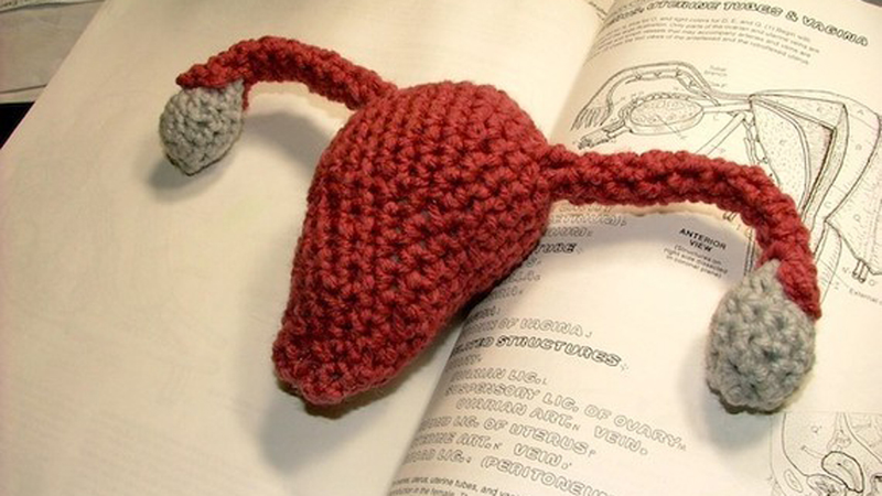 Illustration for article titled Legislators Got You Down? Cheer Up With Uterus-centric Stuff from Etsy